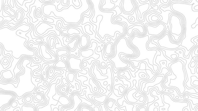 Stylized Topography Animation In Grayscale Loop