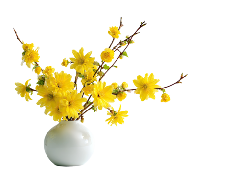 Yellow flowers in a white vase