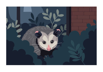 Cute vector illustration of a Virginia opossum peeking out from behind dark bushes.