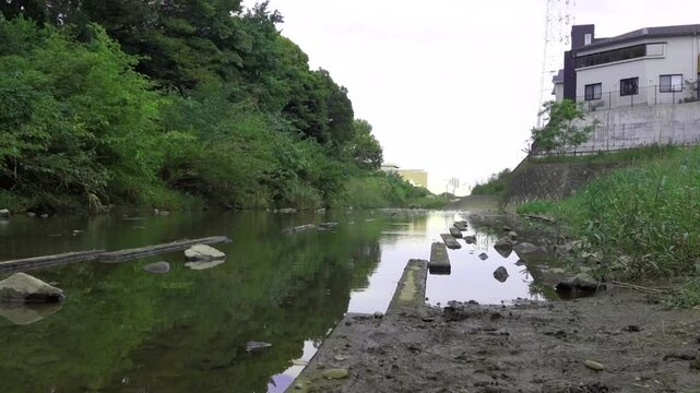 Urban River Landscape - Peaceful Stream with Green Trees and Buildings