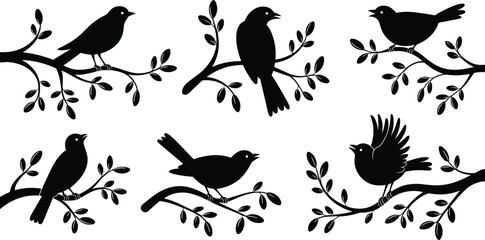 Silhouette birds perched on tree branches, nature wildlife illustration, peaceful songbirds in forest, black and white vector art