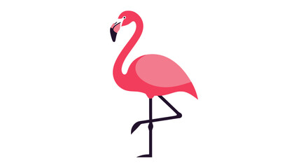 Vibrant pink flamingo illustration standing gracefully on one leg isolated on white