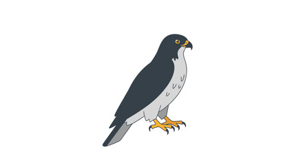 Illustration of a peregrine falcon with dark blue plumage and yellow feet isolated on white