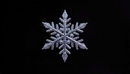 Close up macro view of intricate, unique ice crystal formations on a dark, blurred background, showcasing delicate snowflake patterns. A hyper realistic macro photograph of a single, perfectly formed