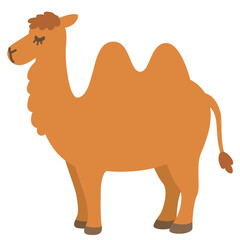 ラクダ　フタコブラクダ　砂丘