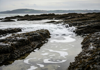 Fototapeta premium Rocky tide pool with foamy seawater splashing along rugged shoreline under overcast sky, tranquil natural landscape with distant rolling hills in background