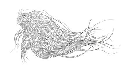 Abstract line art illustration of flowing hair strands on a white background