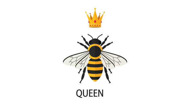 Vector illustration of a queen bee with a crown on a white background for design royalty and