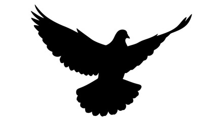 Obraz premium Silhouette of a dove in flight against a white background conveying freedom and peace