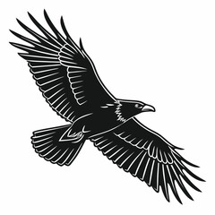 Obraz premium eagle vector illustration