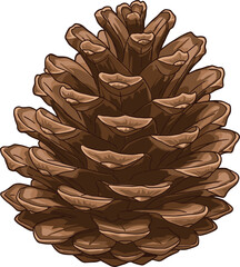 Realistic pine cone, natural texture, botanical illustration, conifer seed pod, brown woody scales, forest element, vector art, nature detail, seasonal design