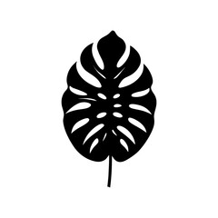 Vector art of monstera leaf silhouette, a tropical design element