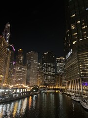 chicago skyline in the night