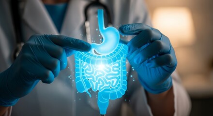 Doctor's hands with blue gloves pointing at digital human digestive system model. Concept for gastroenterology research, gastrointestinal diagnostics and healthcare awareness