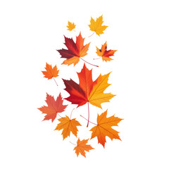 Obraz premium Floating Autumn Maple Leaves on Pure White Background