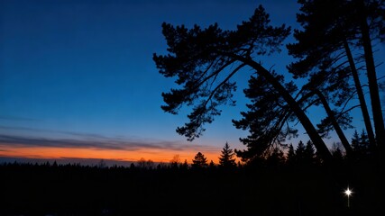 Forest Silhouette at Dusk, Landscape Image