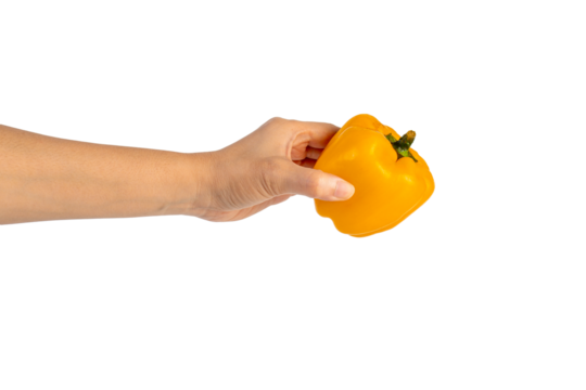 Yellow sweet bell pepper in hand isolated on transparent background