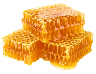 Natural Honeycombs with Hexagonal Pattern, Isolated on White Background, PNG