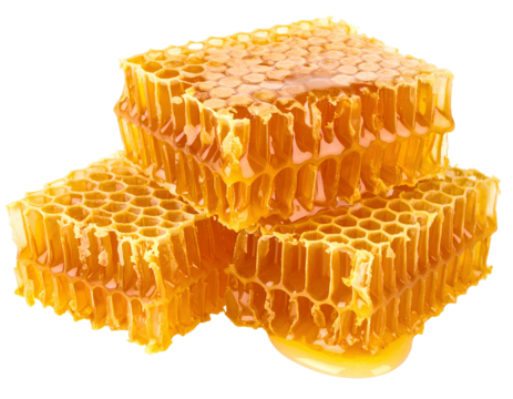 Natural Honeycombs with Hexagonal Pattern, Isolated on White Background, PNG