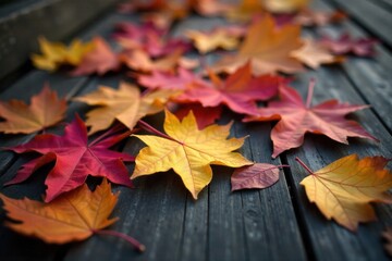 Autumn s Golden Embrace A still life of fallen leaves and weathered wood, bathed in warm, diffused sunlight. A close up, still life composition of a scattering of vibrant autumn leaves, in hues of