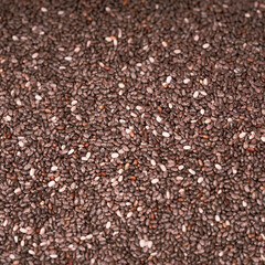 Salvia Hispanica - Nutrients in Chia Seeds