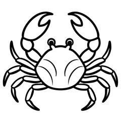 crab isolated on white background