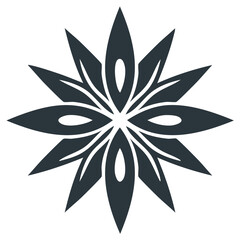 Obraz premium Geometric Star Anise Spice Icon, Abstract Flower Mandala Ornament, Dark Floral Pattern