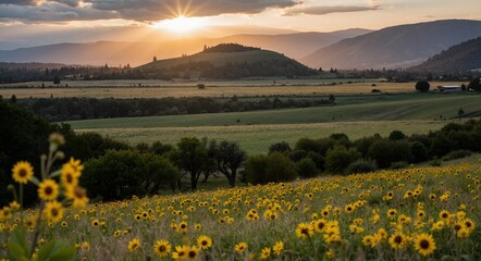 sunset in the mountains