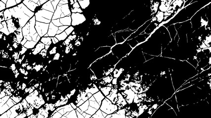 Obraz premium Black and White Abstract Swirl Background – High-Contrast Ink Art Texture Black and White Cracked Texture – High-Detail Distressed Surface Background Grunge Brush Stroke Texture Pack – Black and Whit