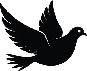 dove on white background