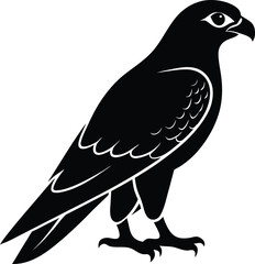 vector illustration of a bird