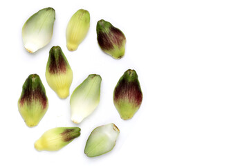 Artichoke petals on white background.