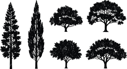 Fototapeta premium Tree silhouette vector illustration, diverse forest design with broad canopy oak, cypress, conifer, rounded foliage, abstract nature art, decorative botanical elements, creative inspiration