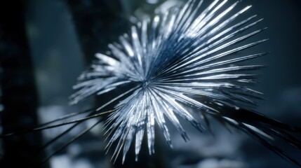 Fototapeta premium Dynamic nature scene forest close-up photography lush environment macro view botanical concept for seo impact