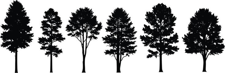 Fototapeta premium Tree silhouette vector illustration, diverse forest design with unique canopy and branching patterns, abstract botanical art, decorative nature elements, creative woodland inspiration concept