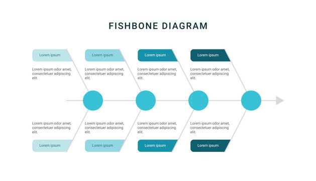 Fishbone diagram infographic template design for business presentation