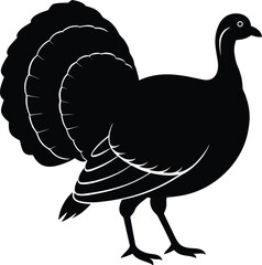 vector illustration of a turkey on white