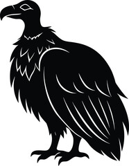 eagle on a white background