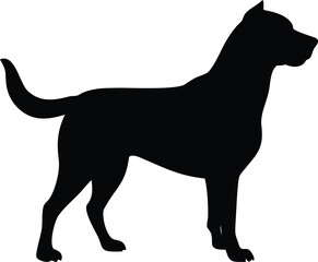 Silhouette of a standing dog with a visible tail and strong build