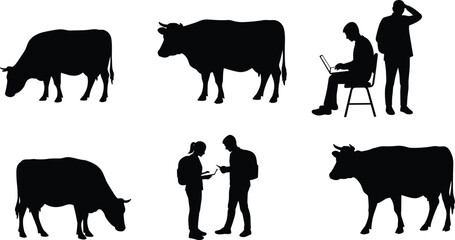 Silhouette vector illustration of cows grazing and standing with people using laptop, teamwork, discussion, lifestyle, agriculture, technology, communication, contrast
