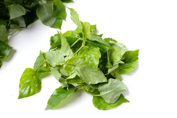 Fresh Sweet Ivy leaves for cooking, Asystasia gangetica (L.) T. Anders.