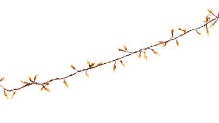 Soft orange Christmas string lights on black isolated high resolution PNG clipart warm glowing fairy garland festive overlay for holiday cards banners and web