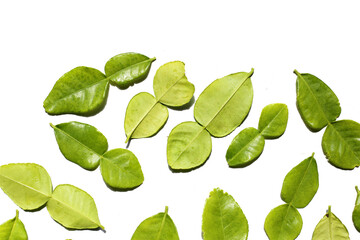 Kaffir lime leaves on white background.