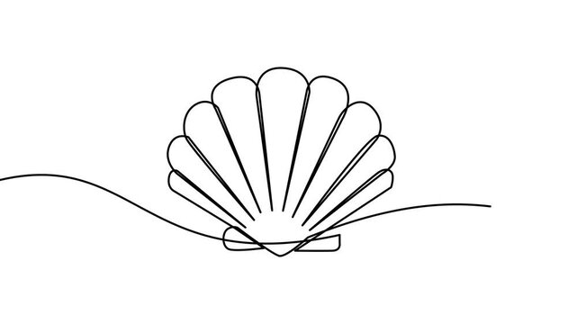 Shell Outline Drawing, Continuous Line Art