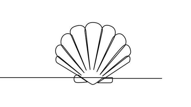 Seashell continuous line art drawing minimalist design