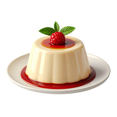 Delicious vanilla panna cotta dessert topped with fresh raspberries and mint, served with sweet red berry sauce on a white plate.