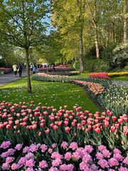 Obraz premium Keukenhof in Lisse, Netherlands 