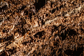 A detailed view of intricate cave formations, showcasing the unique patterns and textures created by mineral deposits over time