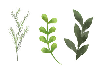 草木や葉のイラスト素材セット