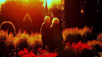 Senior couple walking through a flower garden at sunset, seen from behind. Elderly partners enjoying their golden years together, symbolizing a lifelong journey of love and companionship. Togetherness